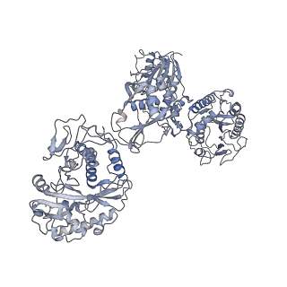 33779_7yez_I_v1-0
In situ structure of polymerase complex of mammalian reovirus in the reloaded state