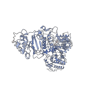 33779_7yez_J_v1-0
In situ structure of polymerase complex of mammalian reovirus in the reloaded state