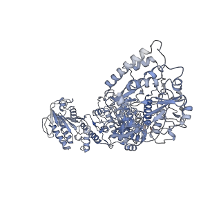 33779_7yez_K_v1-0
In situ structure of polymerase complex of mammalian reovirus in the reloaded state