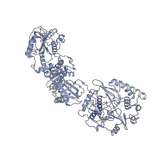 33779_7yez_L_v1-0
In situ structure of polymerase complex of mammalian reovirus in the reloaded state