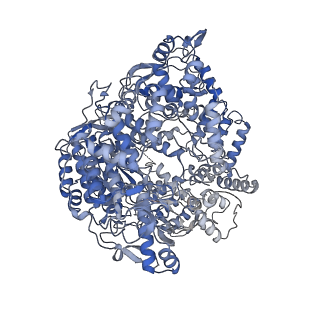 33779_7yez_R_v1-0
In situ structure of polymerase complex of mammalian reovirus in the reloaded state