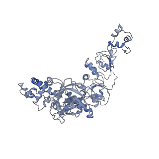 33779_7yez_U_v1-0
In situ structure of polymerase complex of mammalian reovirus in the reloaded state