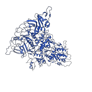 33779_7yez_a_v1-0
In situ structure of polymerase complex of mammalian reovirus in the reloaded state