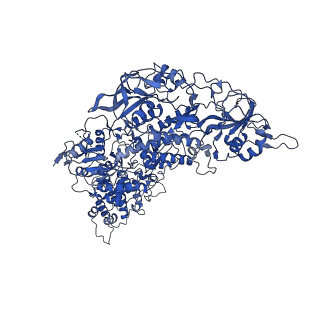 33779_7yez_b_v1-0
In situ structure of polymerase complex of mammalian reovirus in the reloaded state