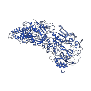 33779_7yez_c_v1-0
In situ structure of polymerase complex of mammalian reovirus in the reloaded state