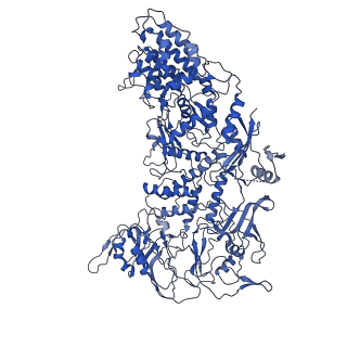 33779_7yez_d_v1-0
In situ structure of polymerase complex of mammalian reovirus in the reloaded state
