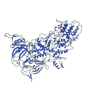 33779_7yez_e_v1-0
In situ structure of polymerase complex of mammalian reovirus in the reloaded state