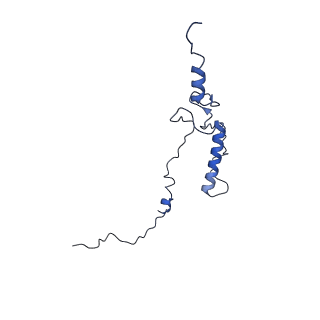 33780_7yf0_1_v1-0
In situ structure of polymerase complex of mammalian reovirus in the core