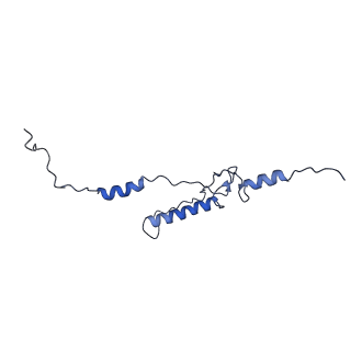 33780_7yf0_2_v1-0
In situ structure of polymerase complex of mammalian reovirus in the core