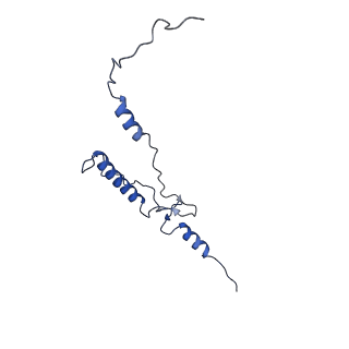 33780_7yf0_3_v1-0
In situ structure of polymerase complex of mammalian reovirus in the core