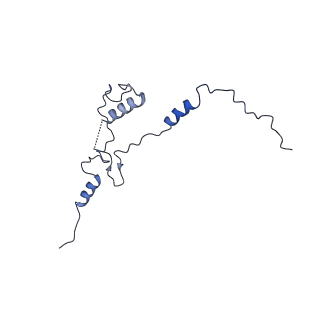 33780_7yf0_4_v1-0
In situ structure of polymerase complex of mammalian reovirus in the core