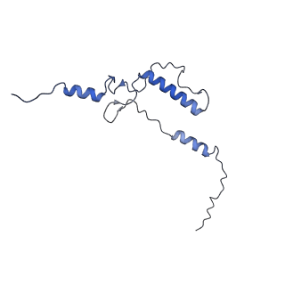 33780_7yf0_5_v1-0
In situ structure of polymerase complex of mammalian reovirus in the core