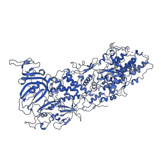 33780_7yf0_A_v1-0
In situ structure of polymerase complex of mammalian reovirus in the core