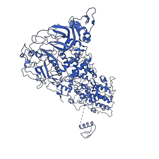 33780_7yf0_B_v1-0
In situ structure of polymerase complex of mammalian reovirus in the core