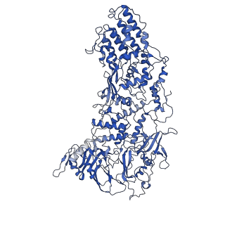 33780_7yf0_E_v1-0
In situ structure of polymerase complex of mammalian reovirus in the core