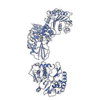 33780_7yf0_H_v1-0
In situ structure of polymerase complex of mammalian reovirus in the core