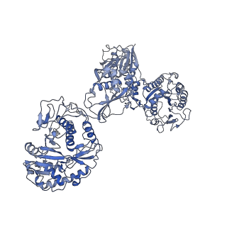 33780_7yf0_I_v1-0
In situ structure of polymerase complex of mammalian reovirus in the core