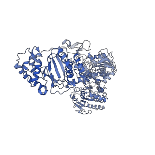 33780_7yf0_J_v1-0
In situ structure of polymerase complex of mammalian reovirus in the core