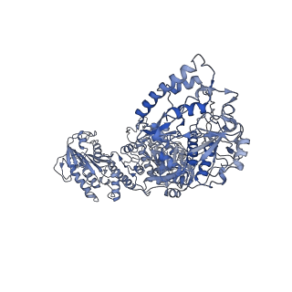 33780_7yf0_K_v1-0
In situ structure of polymerase complex of mammalian reovirus in the core