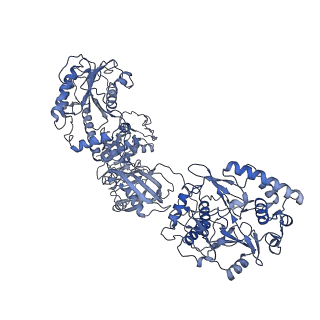 33780_7yf0_L_v1-0
In situ structure of polymerase complex of mammalian reovirus in the core