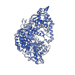 33780_7yf0_R_v1-0
In situ structure of polymerase complex of mammalian reovirus in the core