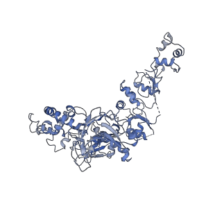 33780_7yf0_U_v1-0
In situ structure of polymerase complex of mammalian reovirus in the core