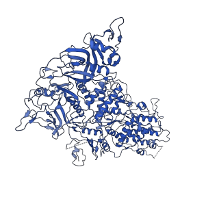 33780_7yf0_a_v1-0
In situ structure of polymerase complex of mammalian reovirus in the core
