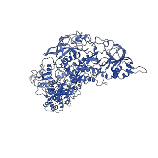 33780_7yf0_b_v1-0
In situ structure of polymerase complex of mammalian reovirus in the core