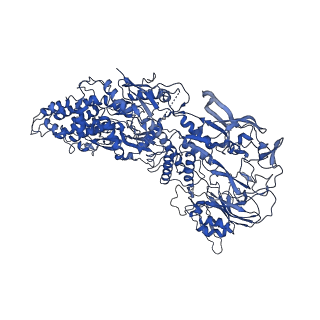 33780_7yf0_c_v1-0
In situ structure of polymerase complex of mammalian reovirus in the core