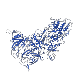 33780_7yf0_e_v1-0
In situ structure of polymerase complex of mammalian reovirus in the core