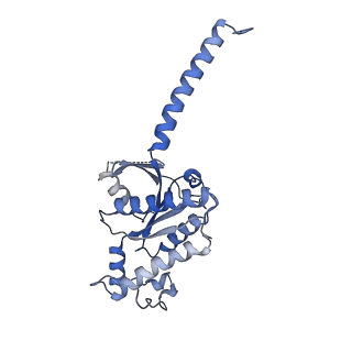 33785_7yfc_A_v1-2
Cryo-EM structure of the histamine-bound histamine H4 receptor and Gq complex