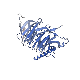 33785_7yfc_B_v1-2
Cryo-EM structure of the histamine-bound histamine H4 receptor and Gq complex