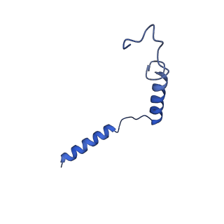 33785_7yfc_G_v1-2
Cryo-EM structure of the histamine-bound histamine H4 receptor and Gq complex