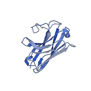 33785_7yfc_N_v1-2
Cryo-EM structure of the histamine-bound histamine H4 receptor and Gq complex