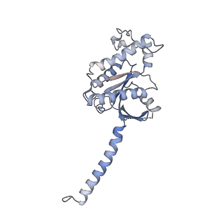 33786_7yfd_A_v1-2
Cryo-EM structure of the imetit-bound histamine H4 receptor and Gq complex