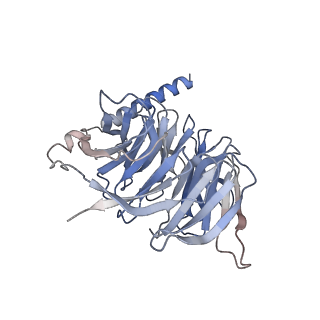 33786_7yfd_B_v1-2
Cryo-EM structure of the imetit-bound histamine H4 receptor and Gq complex