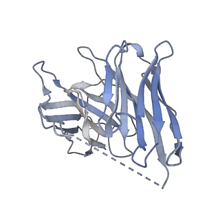 33786_7yfd_C_v1-2
Cryo-EM structure of the imetit-bound histamine H4 receptor and Gq complex