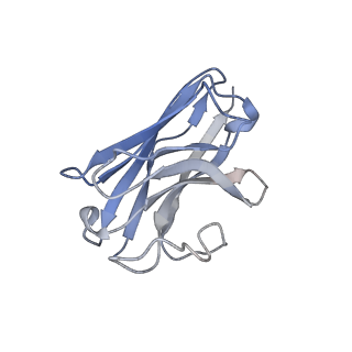 33786_7yfd_N_v1-2
Cryo-EM structure of the imetit-bound histamine H4 receptor and Gq complex