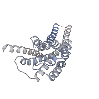 33786_7yfd_R_v1-2
Cryo-EM structure of the imetit-bound histamine H4 receptor and Gq complex