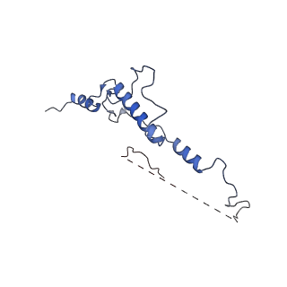 33787_7yfe_2_v1-0
In situ structure of polymerase complex of mammalian reovirus in virion