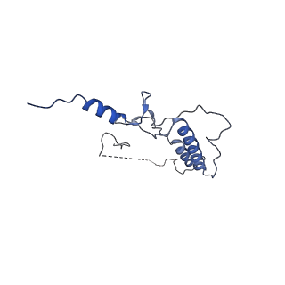 33787_7yfe_3_v1-0
In situ structure of polymerase complex of mammalian reovirus in virion