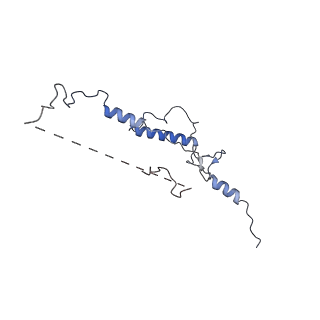 33787_7yfe_5_v1-0
In situ structure of polymerase complex of mammalian reovirus in virion