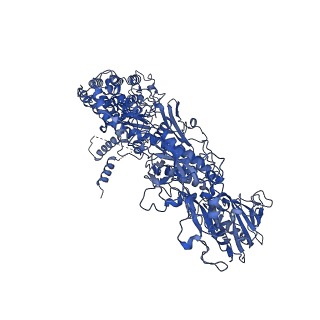 33787_7yfe_A_v1-0
In situ structure of polymerase complex of mammalian reovirus in virion