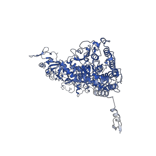 33787_7yfe_C_v1-0
In situ structure of polymerase complex of mammalian reovirus in virion