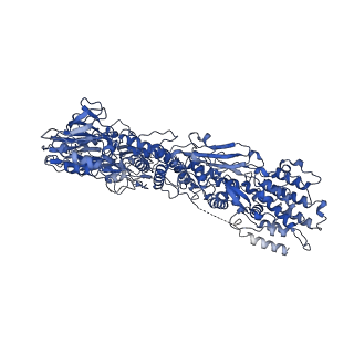 33787_7yfe_D_v1-0
In situ structure of polymerase complex of mammalian reovirus in virion