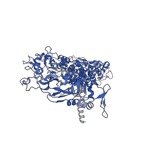 33787_7yfe_E_v1-0
In situ structure of polymerase complex of mammalian reovirus in virion