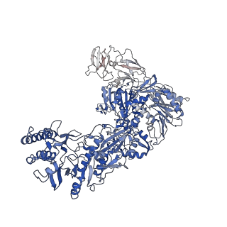33787_7yfe_H_v1-0
In situ structure of polymerase complex of mammalian reovirus in virion