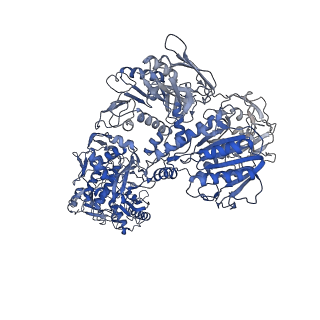 33787_7yfe_I_v1-0
In situ structure of polymerase complex of mammalian reovirus in virion