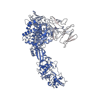 33787_7yfe_J_v1-0
In situ structure of polymerase complex of mammalian reovirus in virion