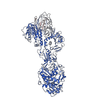 33787_7yfe_K_v1-0
In situ structure of polymerase complex of mammalian reovirus in virion